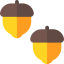 Acorn 상 64x64