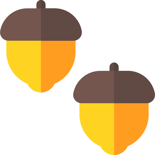 Acorn 상