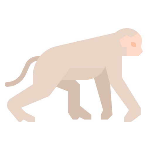 Monkey icon