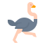 Ostrich icon 64x64