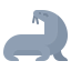 Sea lion Symbol 64x64