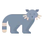 Raccoon Symbol 64x64