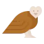 Owl Symbol 64x64