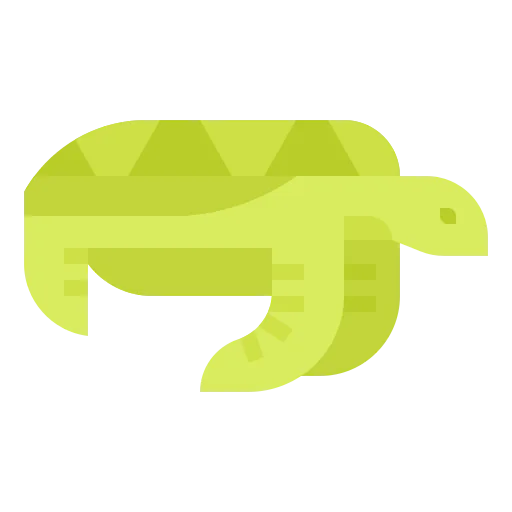 Turtle 图标