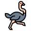 Ostrich icon 64x64