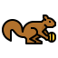 Squirrel icon 64x64