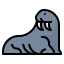 Walrus icon 64x64