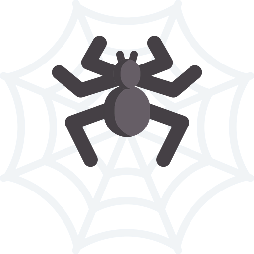 Spider web icon