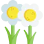Flowers biểu tượng 64x64