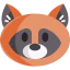 Racoon icon 64x64