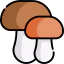 Mushrooms icon 64x64