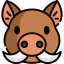Boar アイコン 64x64