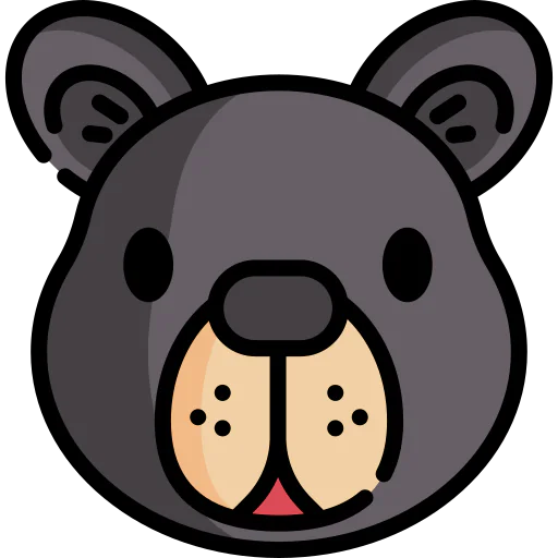 Bear icon