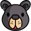 Bear アイコン 64x64
