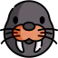Walrus アイコン 64x64