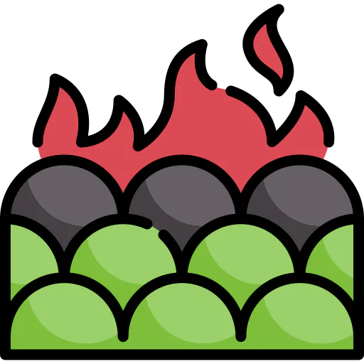 Fire icon