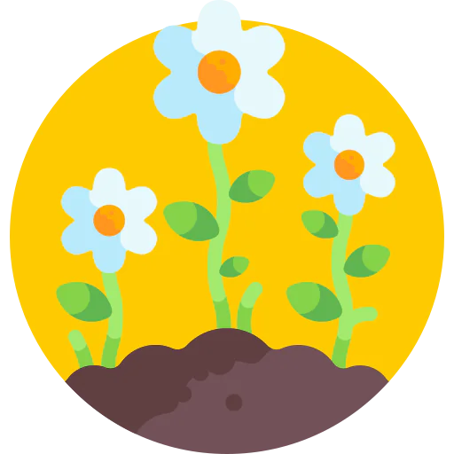 Spring icon