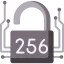 SHA 256 Ikona 64x64