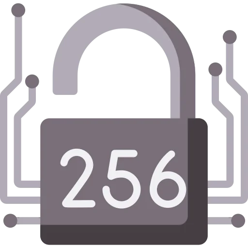 SHA 256 biểu tượng