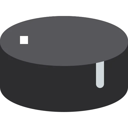 Puck icon