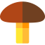 Mushroom 图标 64x64