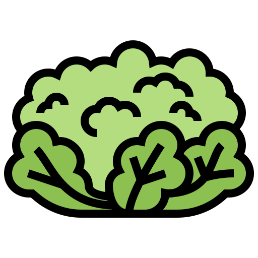 Cauliflower icône