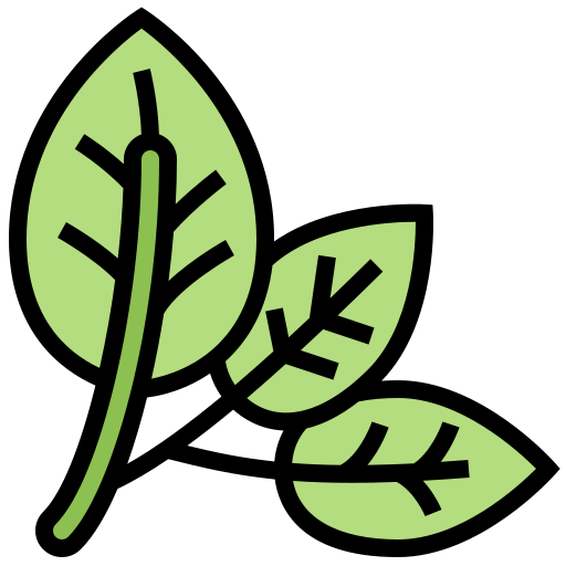Spinach icône