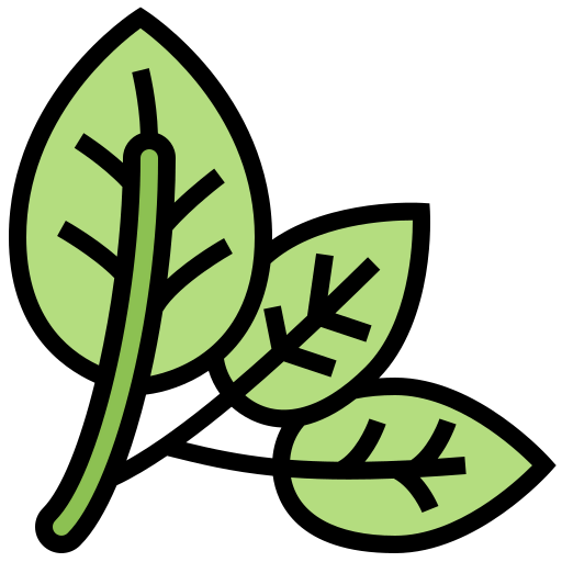 Spinach Ikona
