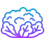 Cauliflower 图标 64x64