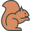 Squirrel 图标 64x64