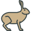 Hare icon 64x64