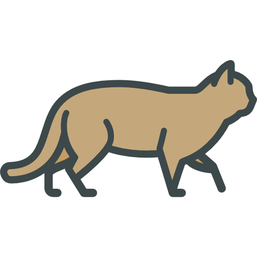 Дикая кошка иконка