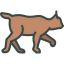 Lynx icon 64x64