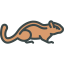 Chipmunk icon 64x64