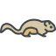 Squirrel Ikona 64x64