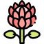 King protea 图标 64x64