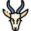 Springbok 图标 64x64