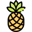 Pineapple 图标 64x64