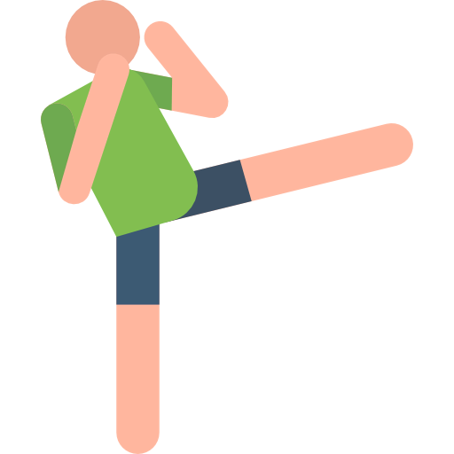 Kickboxing icône