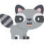 Racoon icon 64x64