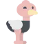 Ostrich icon 64x64