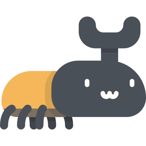 Beetle icon