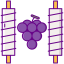 Grape icon 64x64