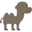 Camel icon 64x64