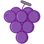 Grapes ícono 64x64