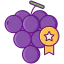 Grape 图标 64x64