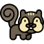 Squirrel icon 64x64