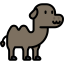 Camel icon 64x64