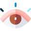 Eye Ikona 64x64