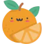 Orange Ikona 64x64